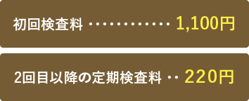 初回検査料 1,100円　2回目以降の定期検査料 220円